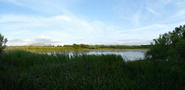 FZ018401-6 View from bird hive at campsite.jpg